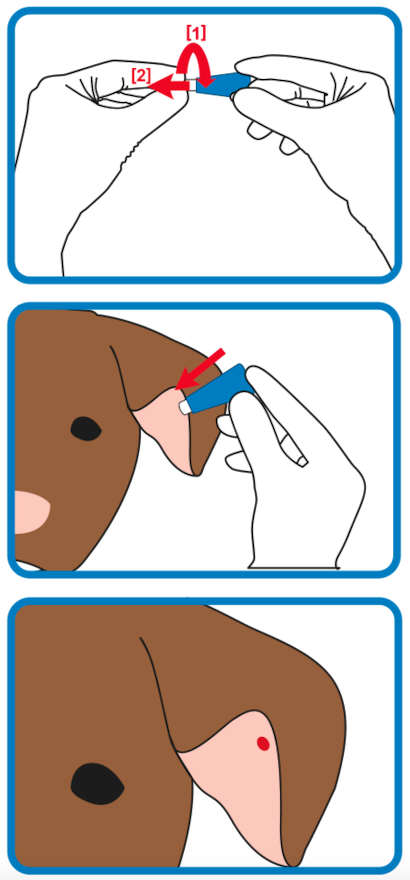 picture guide Wellion Safetylancets - With the Wellion Safetylancets, a small blood sample can be obtained for blood glucose measurement in just a few steps in animals such as the dog.