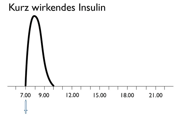 Bei den kurz wirkenden Insulinen tritt die Wirkung praktisch sofort (10 Minuten nach der Injektion) ein. Die höchste Wirksamkeit entwickelt sich nach 60 (30 bis 90) Minuten. Die gesamte Wirkung hält zwei bis drei Stunden an.