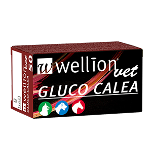 WellionVet GLUCO CALEA blood glucose test strips for dogs, cats and horses